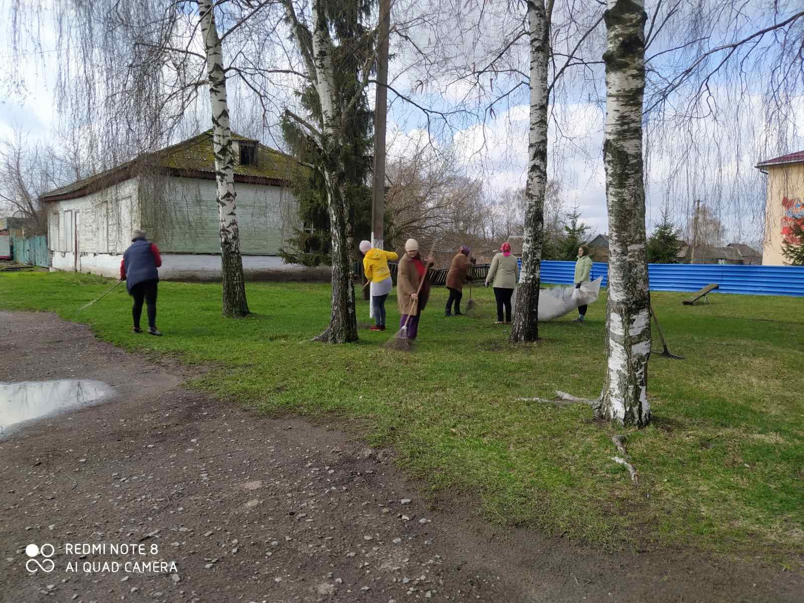 Сleanup in the community