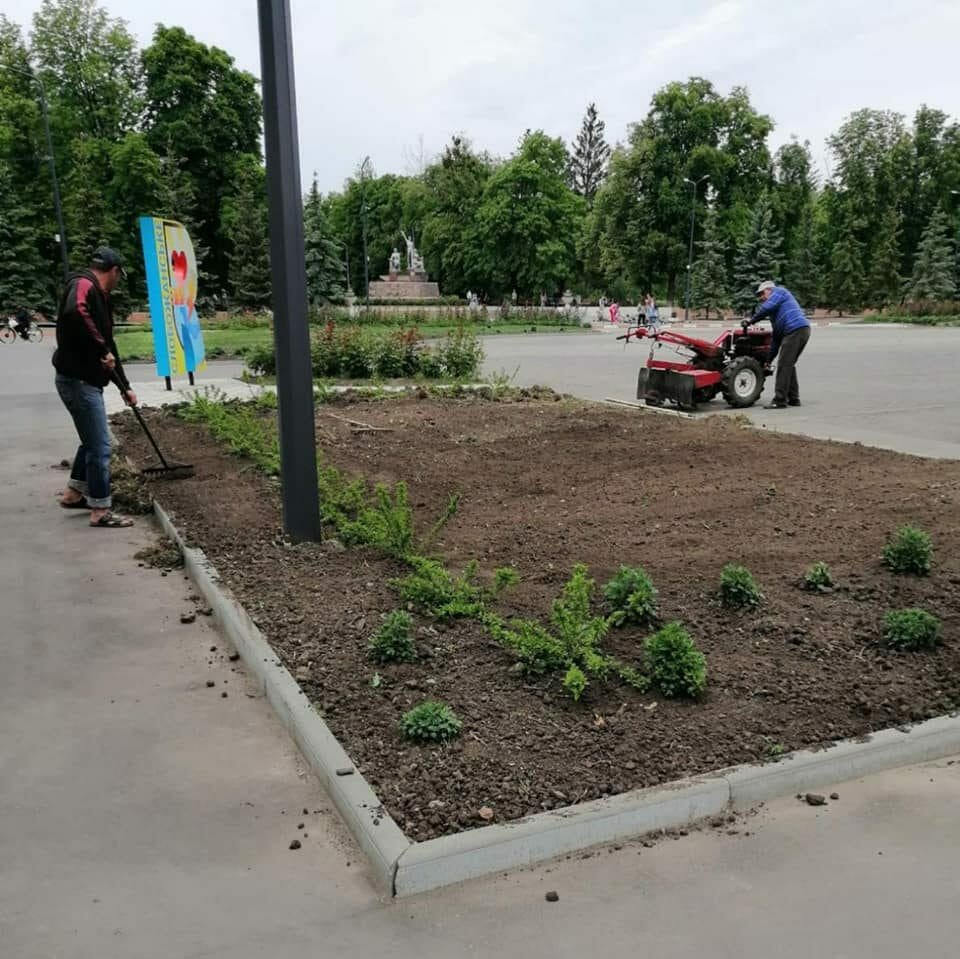 Communal services plant flowers in the local park