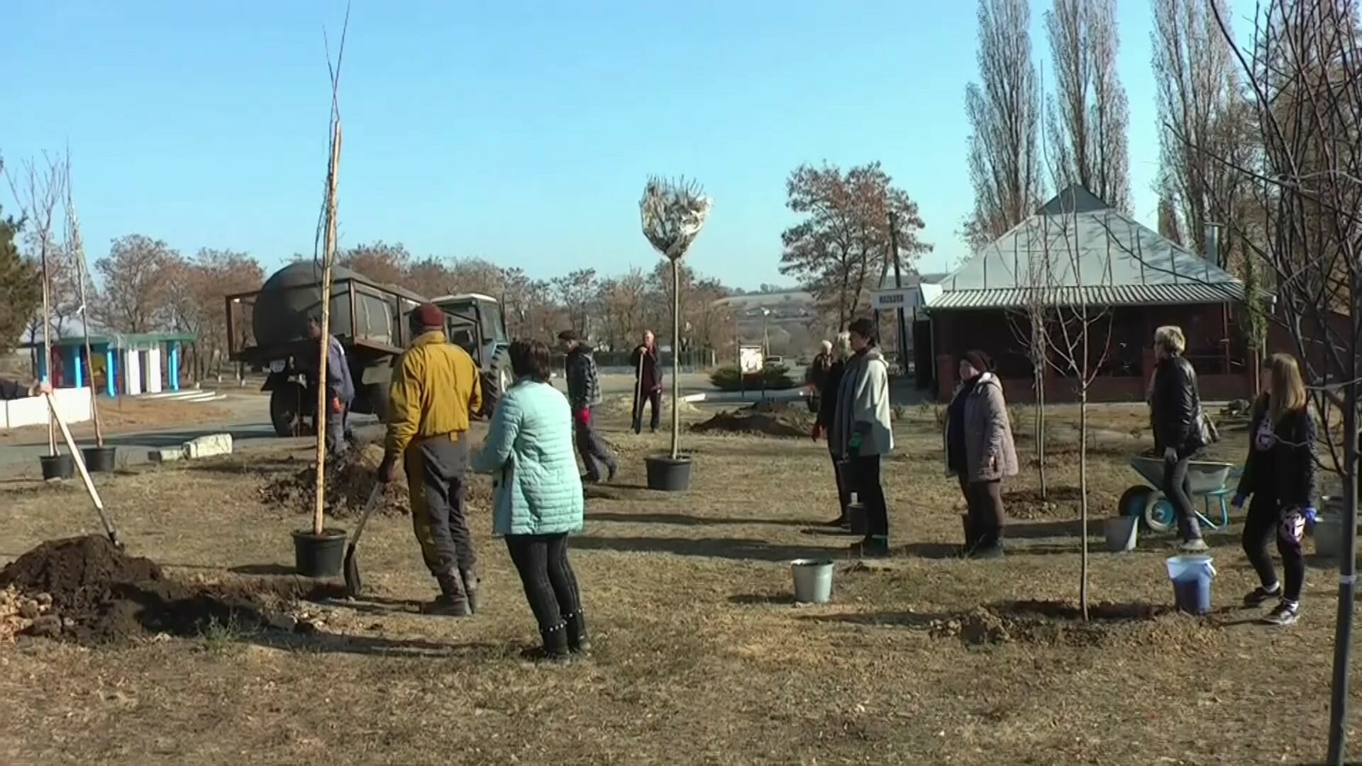 Annual tree planting in 2022
