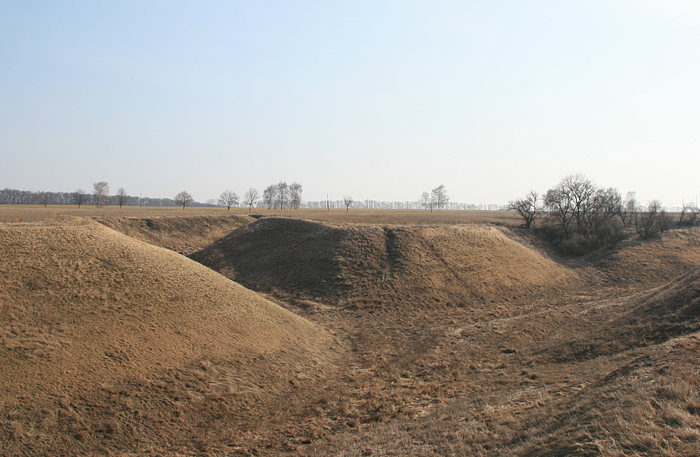 Remains of the settlement, Tarashcha Stone Woman